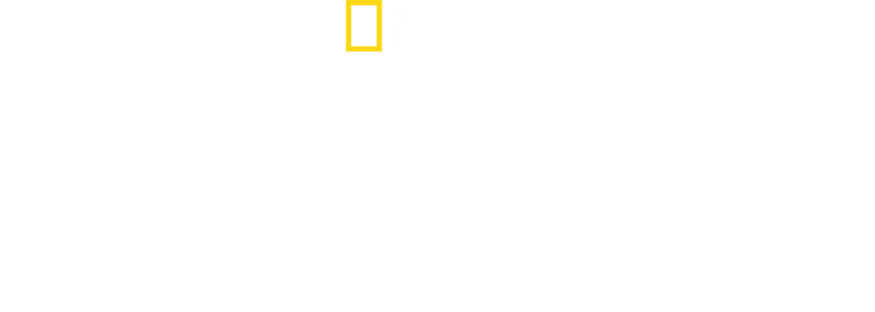 Raj rekinów