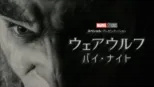 thumbnail - ウェアウルフ・バイ・ナイト