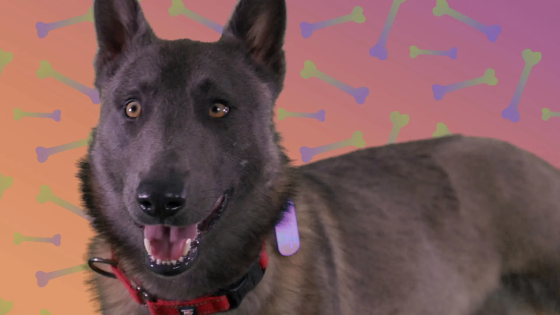 thumbnail - S1:E7 Asher