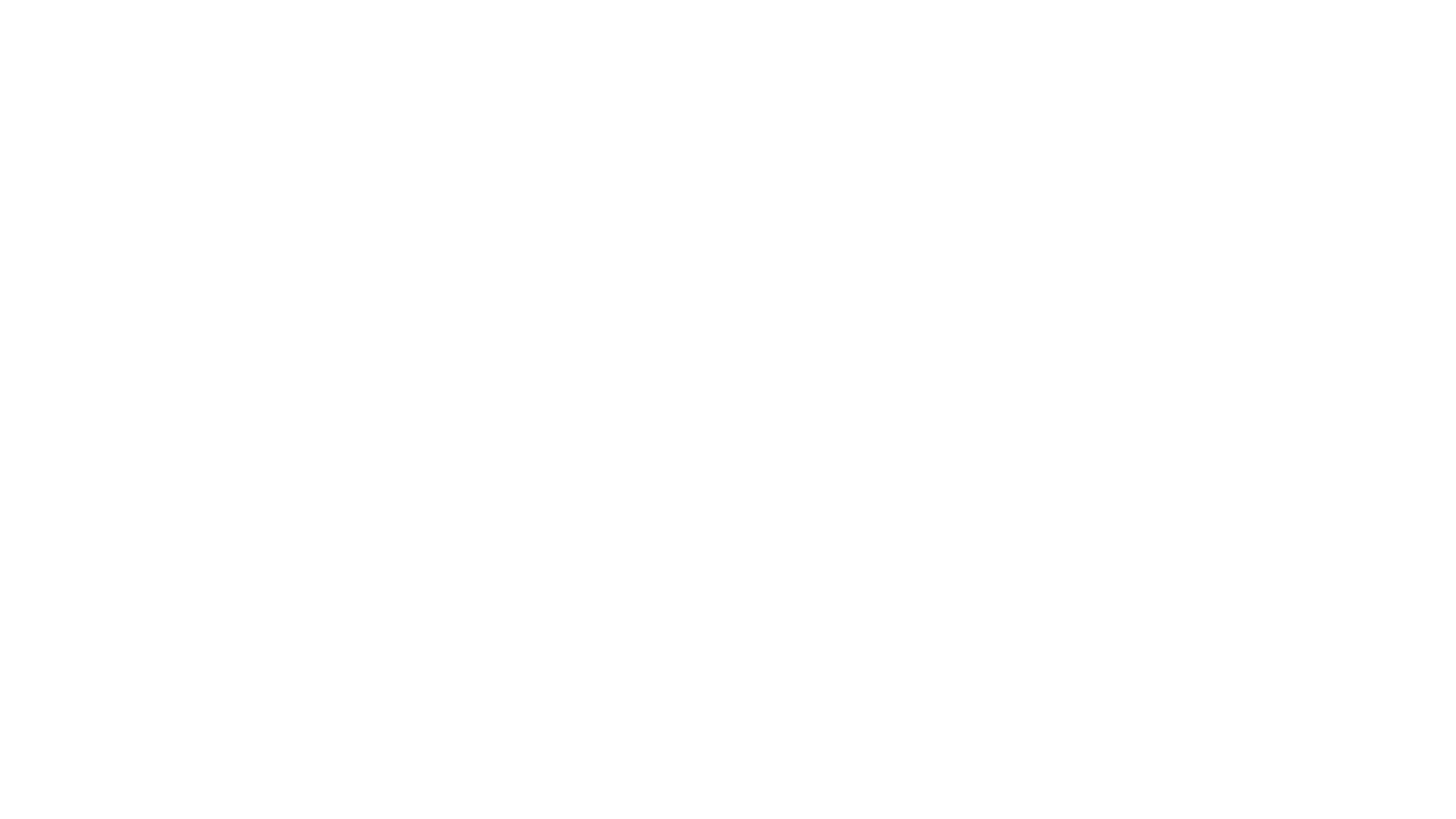 Ferina Lišák