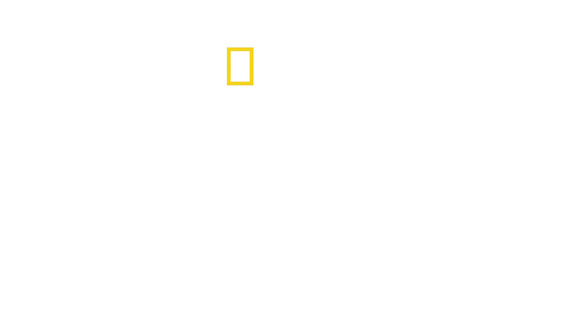 I segreti delle balene