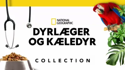 thumbnail - Dyrlæger og kæledyr