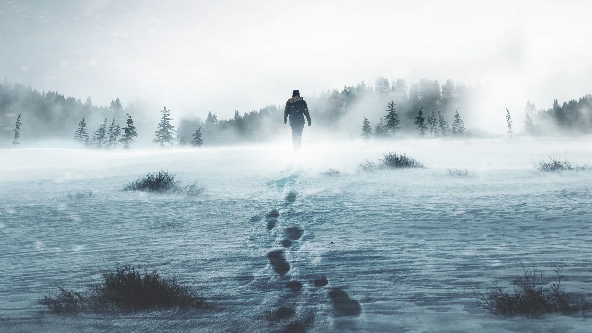 A snow-covered forest is barely visible through a blizzard in Alone (2015). 
