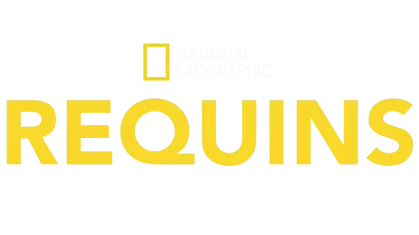 National Geographic : Requins