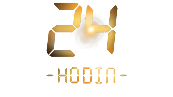 24 hodin