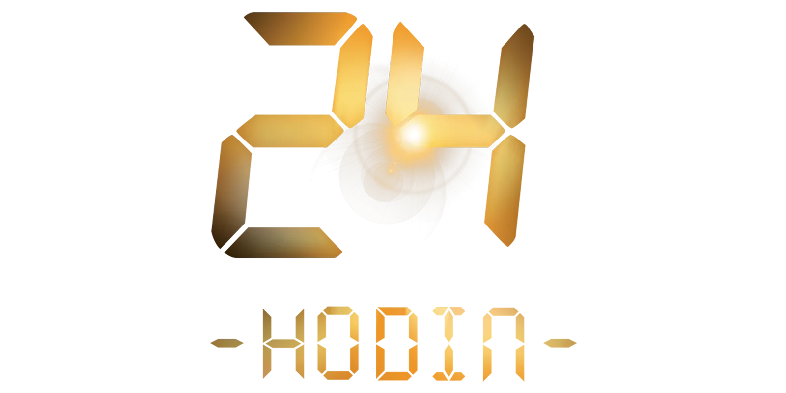 24 hodin