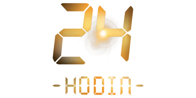 24 hodin
