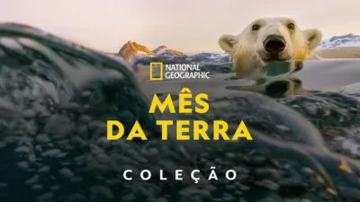 thumbnail - Mês da Terra