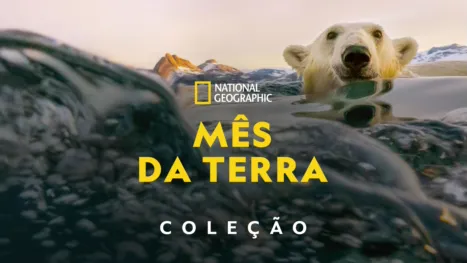 thumbnail - Mês da Terra