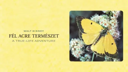 thumbnail - Fél acre természet