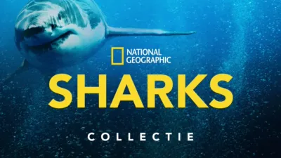 thumbnail - National Geographic: Sharks