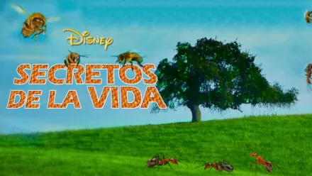 thumbnail - Secretos de la vida