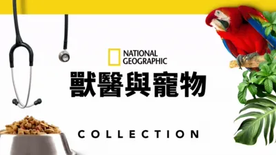 thumbnail - 獸醫與寵物