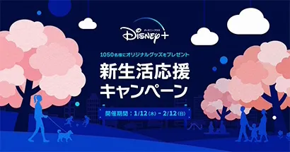 Grid Item - "Slider 5" - JP Perks MLP