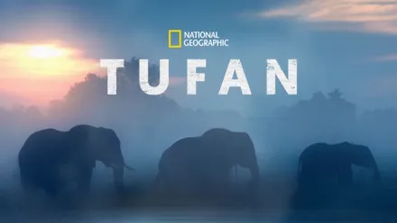 thumbnail - Tufan