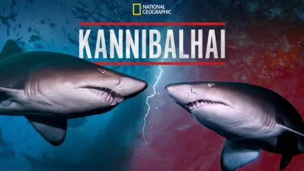 thumbnail - Kannibalhai