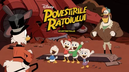 thumbnail - Povestirile rățoiului