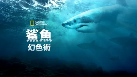 thumbnail - 鯊魚幻色術