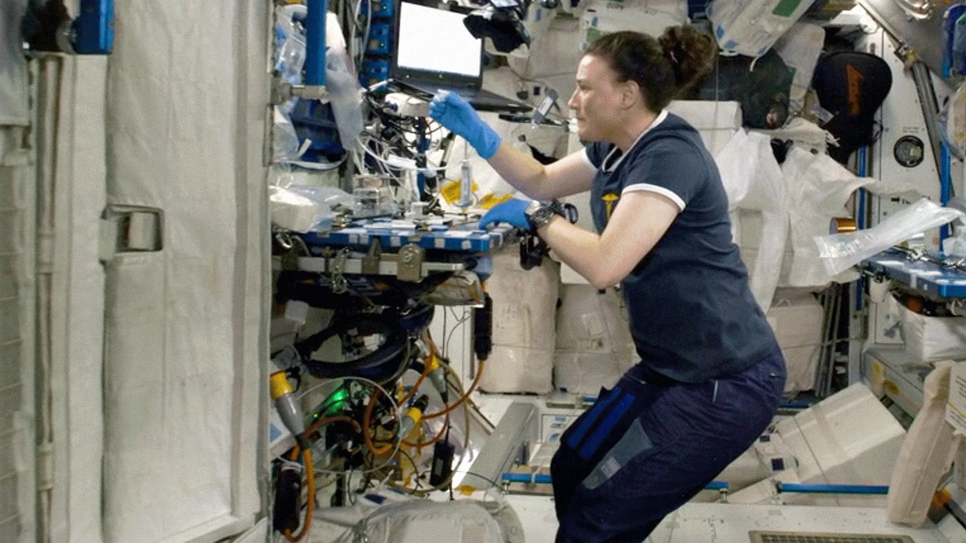 This image shows a crew member conducting a scientific experiment aboard the International Space Station.