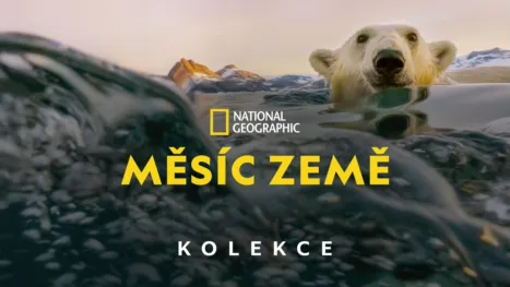thumbnail - Měsíc Země