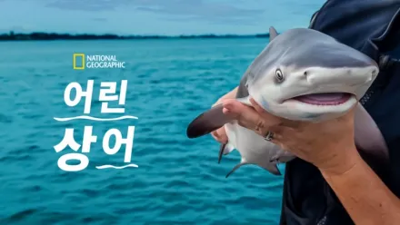 thumbnail - 어린 상어
