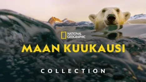 thumbnail - Maan kuukausi