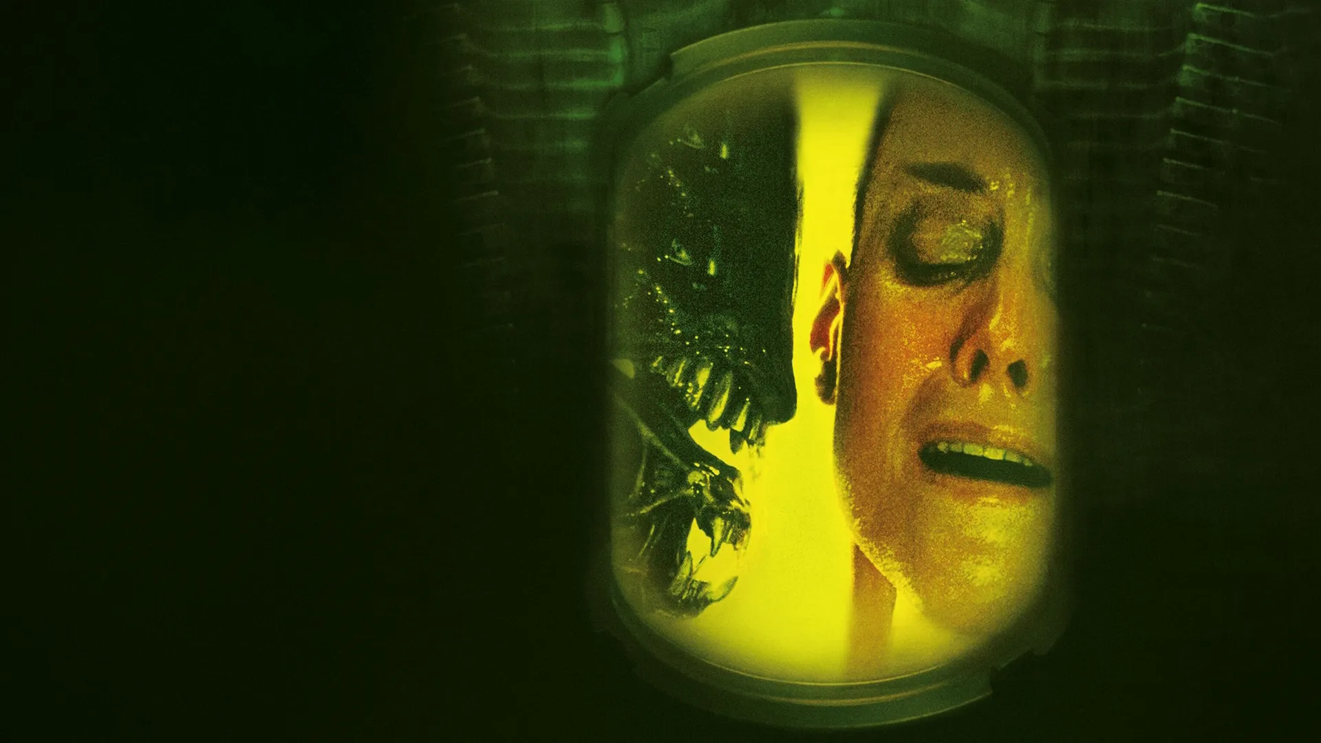 Through the lens of a small yellow tinted window a Xenomporph is face-to-face with a terrified Ripley (Signourey Weaver).