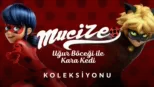 thumbnail - Mucize: Uğur Böceği ile Kara Kedi