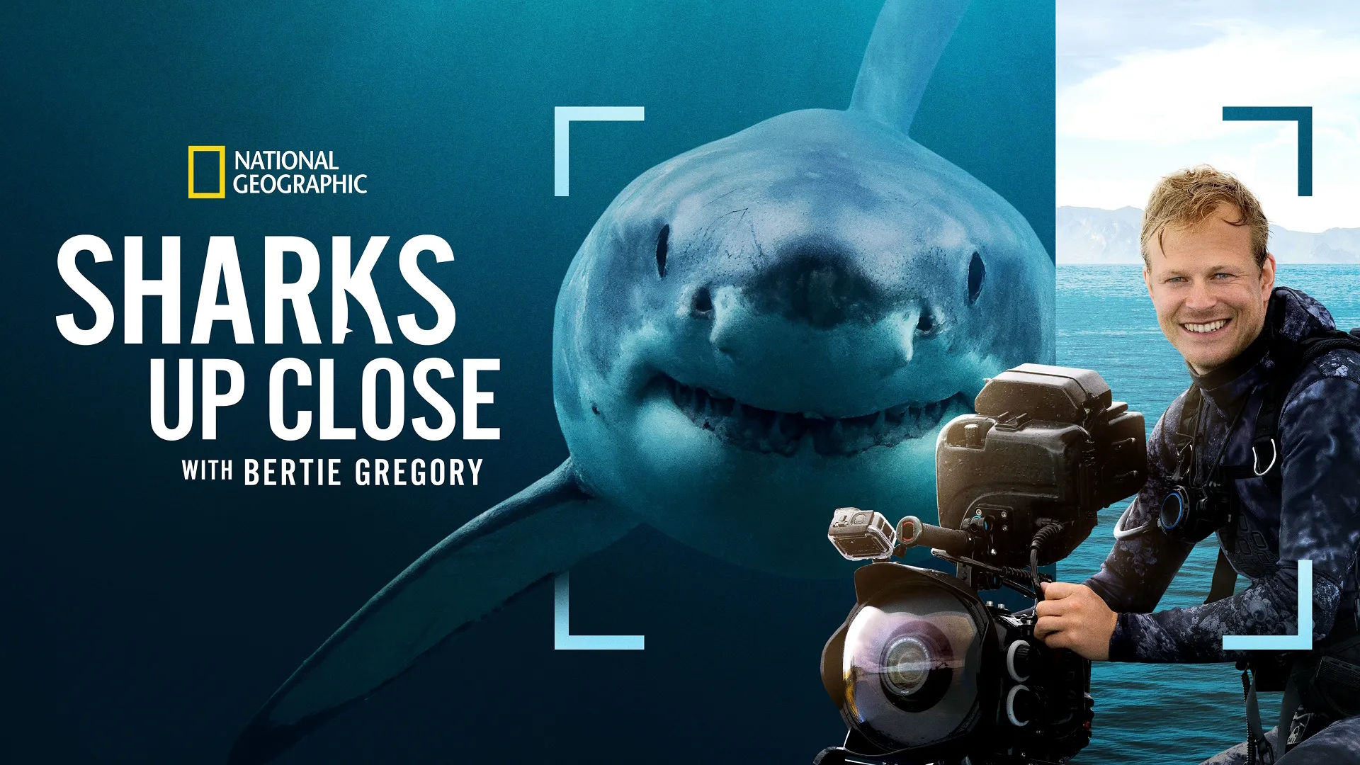 Promotional hero image for the National Geographic documentary, Sharks Up Close with Bertie Gregory