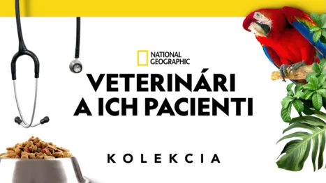 thumbnail - Veterinári a ich pacienti 
