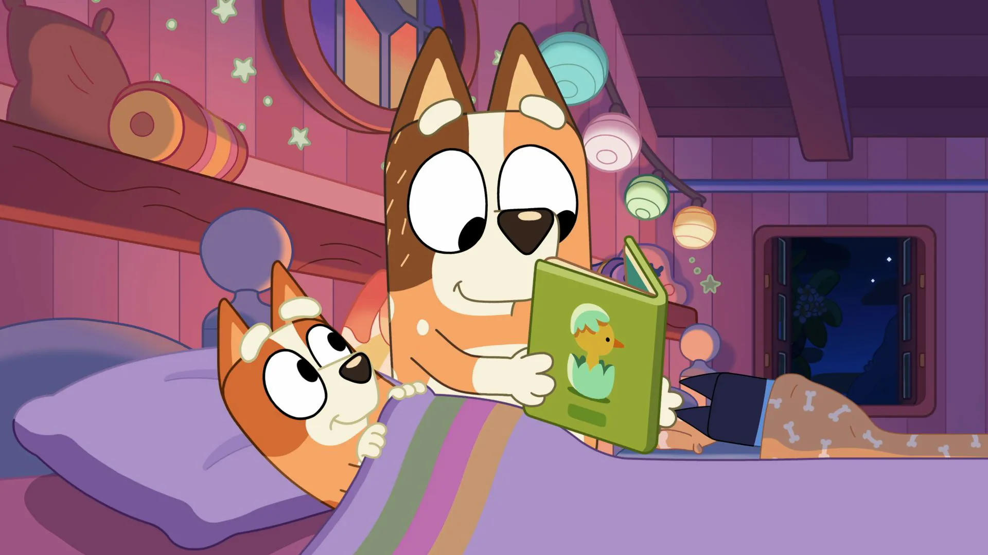 Chilli reads a green bedtime storybook featuring a yellow chick to Bingo, who is tucked into bed under a purple blanket in a cozy, softly lit bedroom.