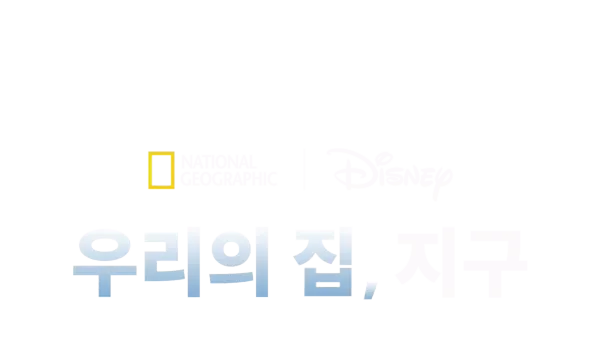 지구의 달