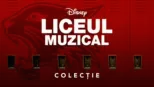 thumbnail - Liceul muzical