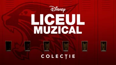 thumbnail - Liceul muzical