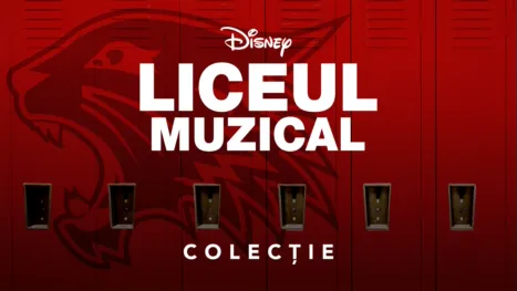 thumbnail - Liceul muzical