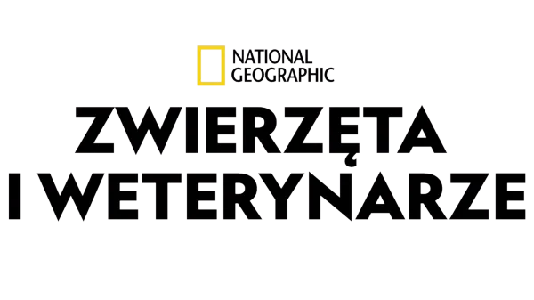 Zwierzęta i weterynarze