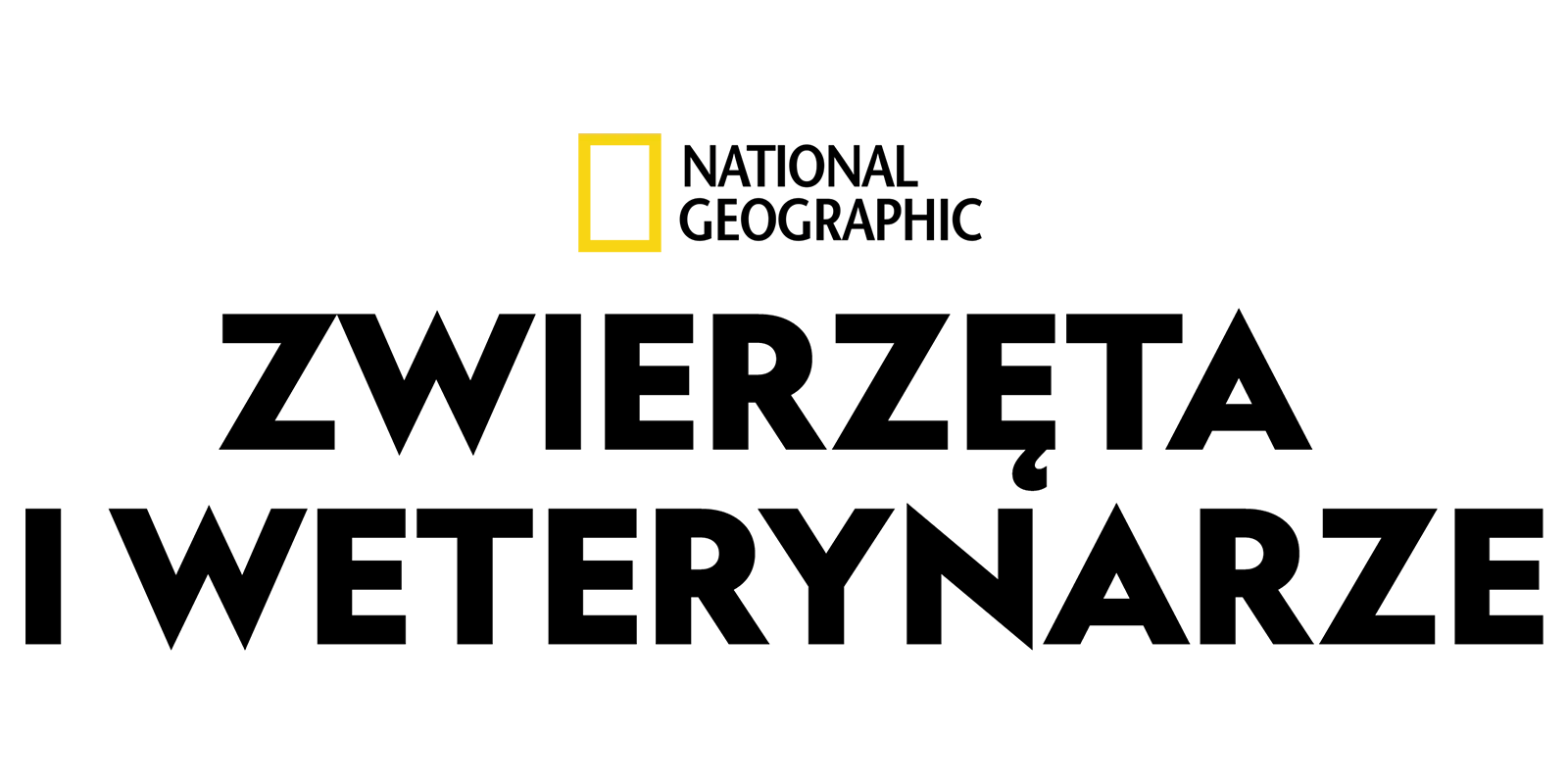 Zwierzęta i weterynarze