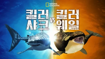 thumbnail - 킬러 샤크 vs 킬러 웨일