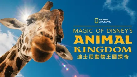 thumbnail - 迪士尼動物王國探奇