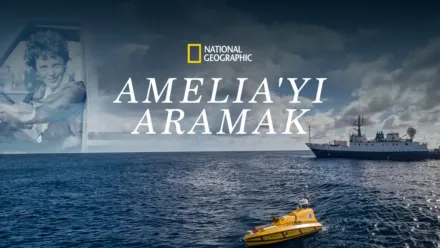 thumbnail - Amelia'yı Aramak
