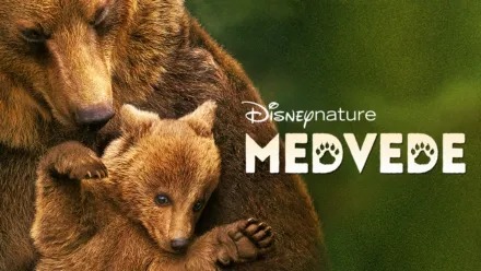 thumbnail - Medvede
