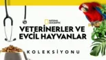 thumbnail - Veterinerler ve Evcil Hayvanlar
