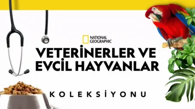 thumbnail - Veterinerler ve Evcil Hayvanlar