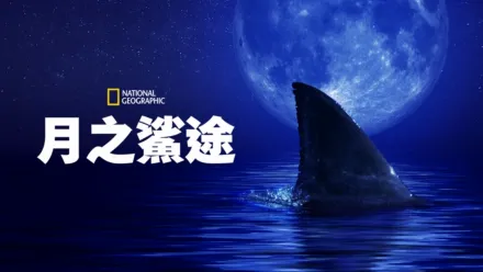 thumbnail - 月之鯊途