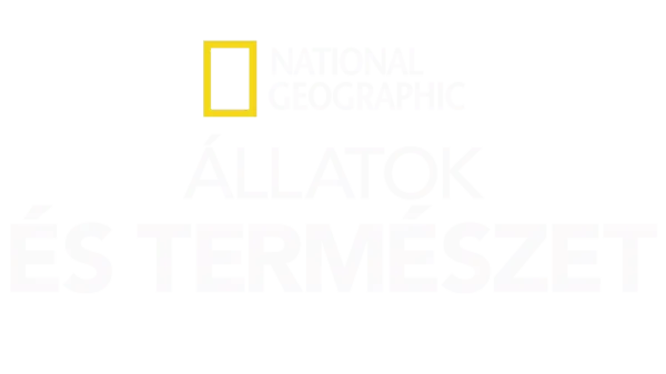 National Geographic – állatok és természet