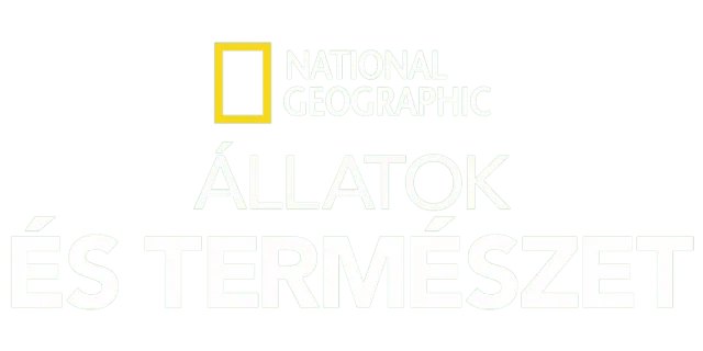 National Geographic – állatok és természet