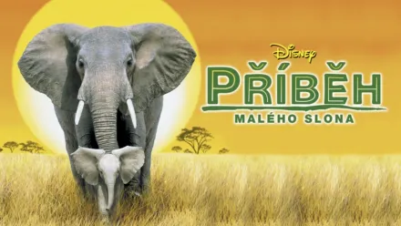 thumbnail - Příběh malého slona