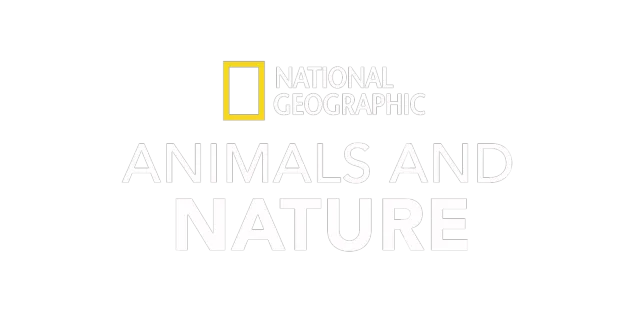 National Geographic Animals and Nature