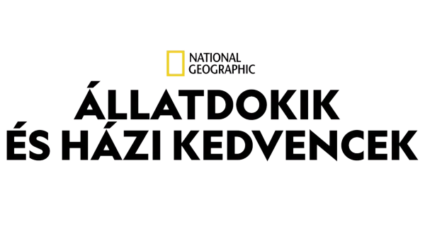 Állatdokik és házi kedvencek
