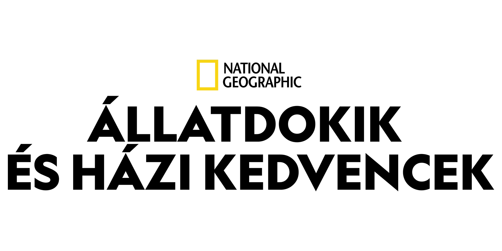 Állatdokik és házi kedvencek